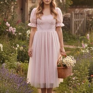 NWT Ivy City Co pink ballerina midi dress - S